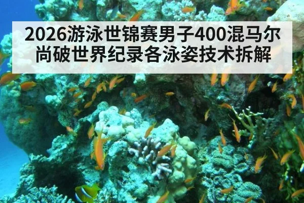 2026游泳世锦赛男子400混马尔尚破世界纪录各泳姿技术拆解（jiuyou game）